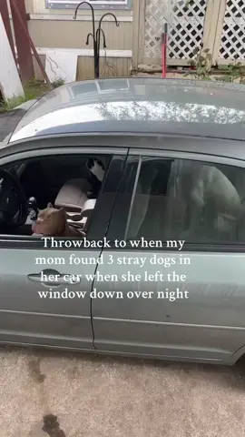 Follow for story time 🤣#fypシ #viral #funnyvideos #meme #zyxcba 