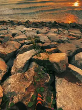 #ท้องฟ้า #ฟีดดดシ #fyp 