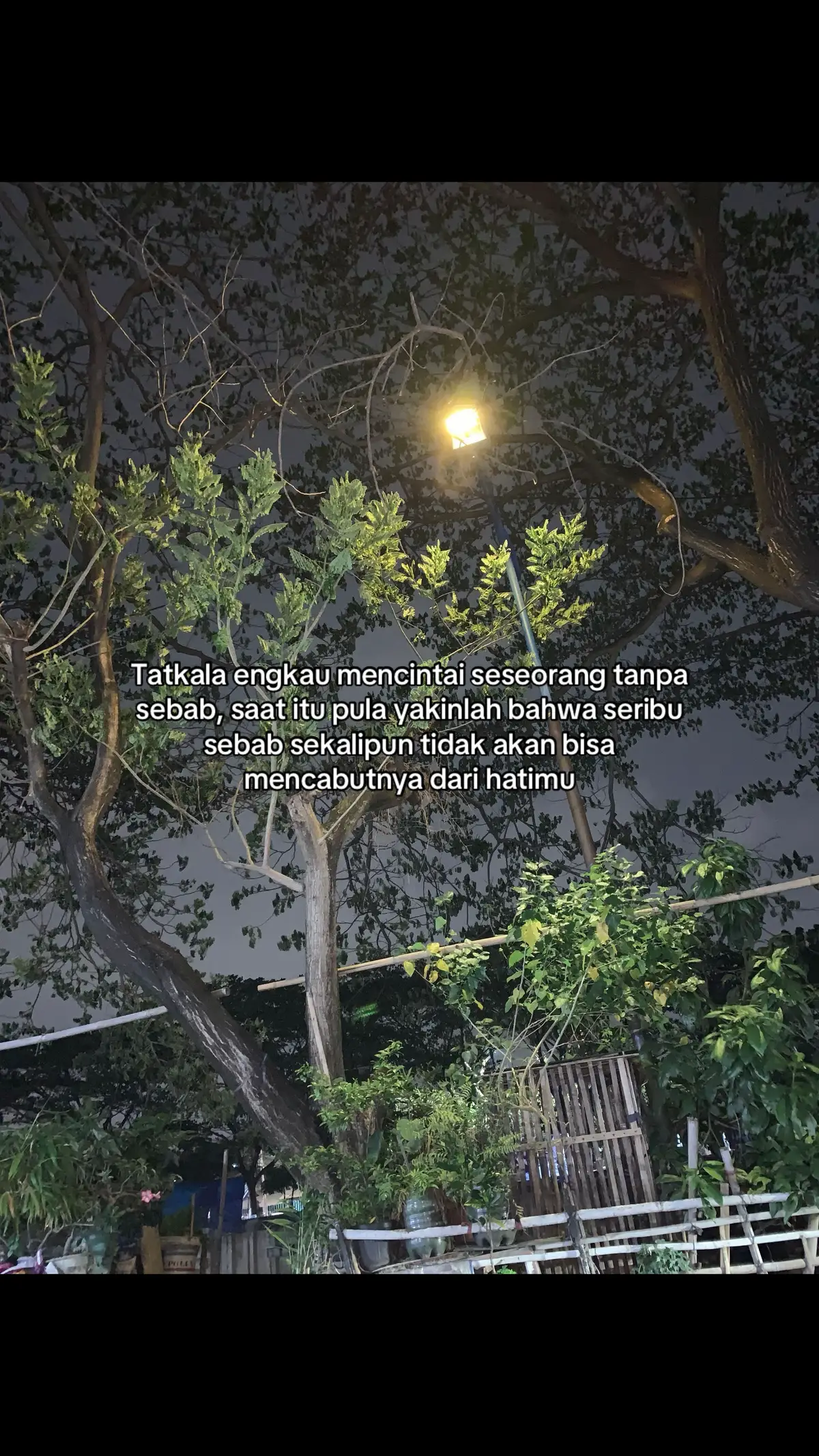 #quotes #songindia #foryou #india 