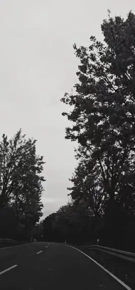 #zitat #emotionen #gedanken 