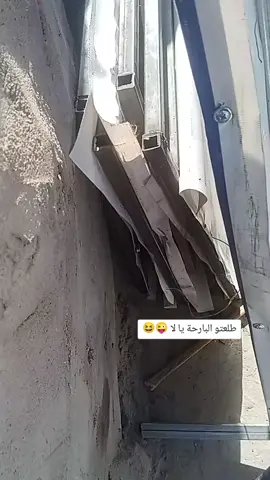 😆#شعب_الصيني_ماله_حل😂😂 #مرشحين_الانتخابات #بوك #حديد #حراميه .