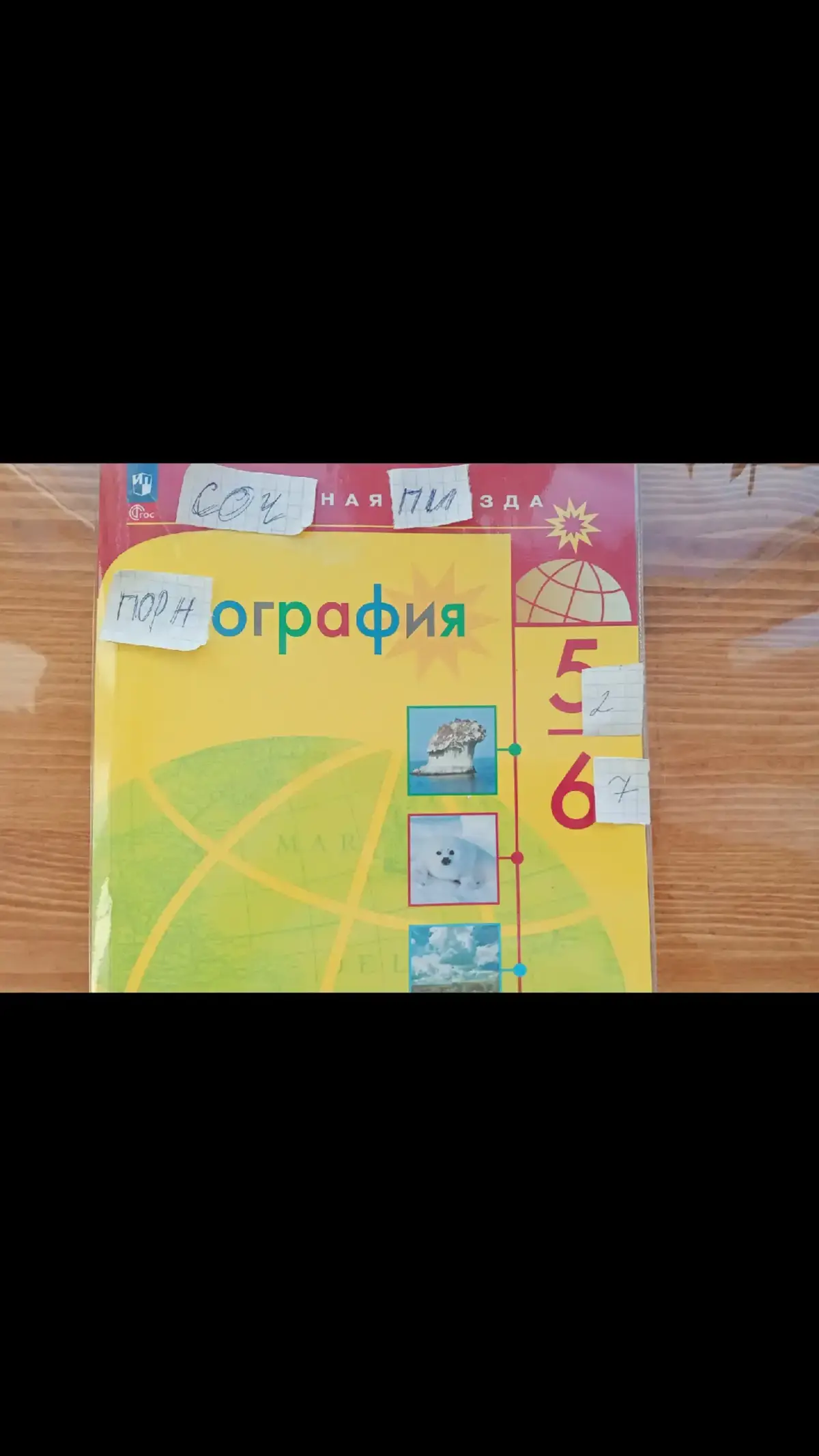 я сам все это создал сам по кирпичику 