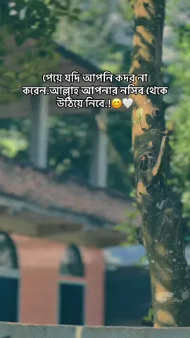 পেয়ে যদি আপনি কদর না করেন.আল্লাহ আপনার নসিব থেকে উঠিয়ে নিবে.!😊🤍#foryou #foryoupage #fyp #viral #viraltiktok 