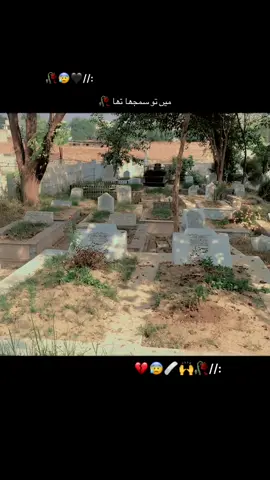 تو نے جدائی میری قسمت کر دی🥀😰💔Ahmad faraz 🥀🍂#foryou #urdupoetry #shayri💔🥀#aliyanakram74 #unfrezzmyaccount 