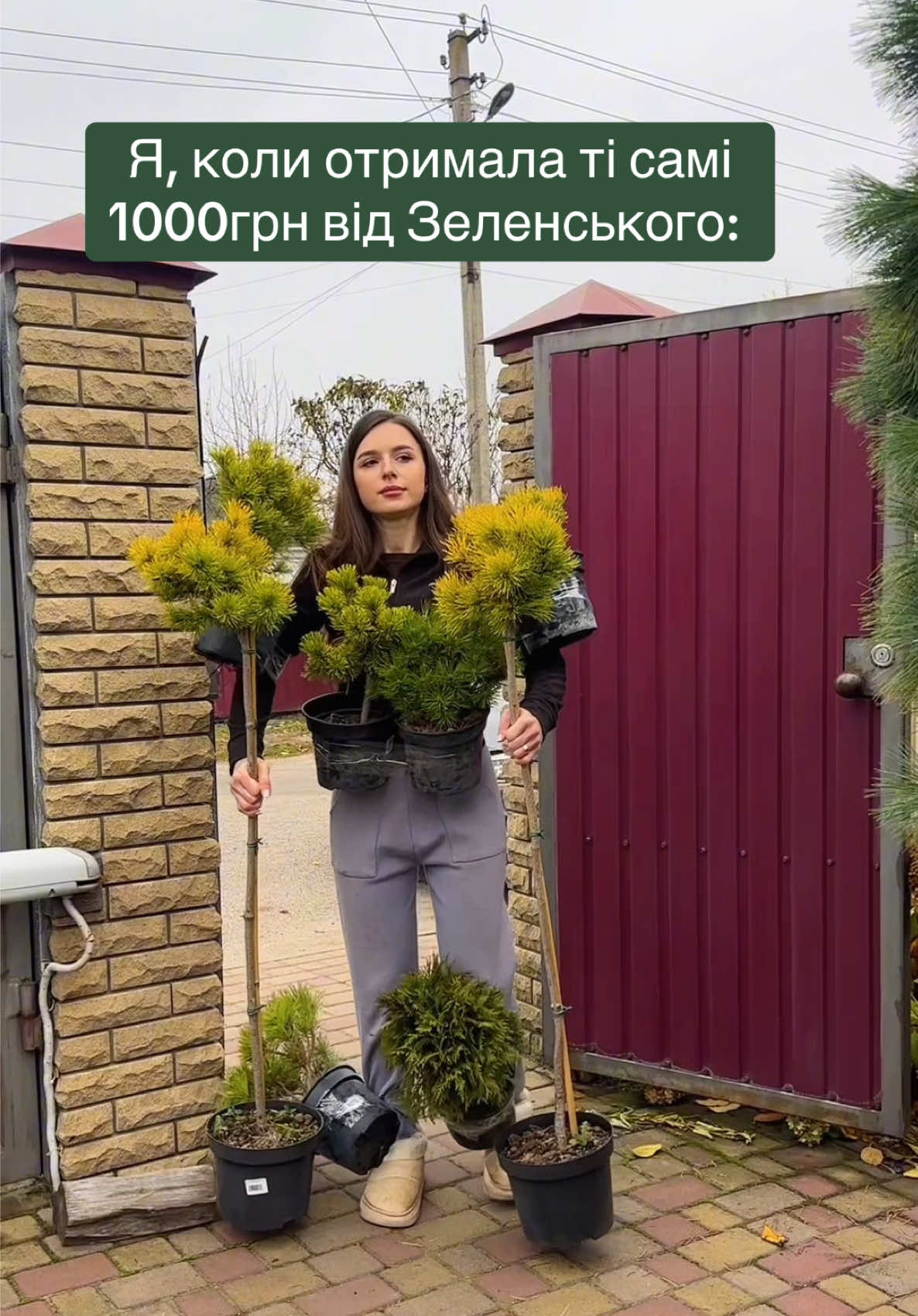 А ви на що плануєте витратити? 🤣 #зеленський #приколи #прикол #рекомендації #рекомендации 