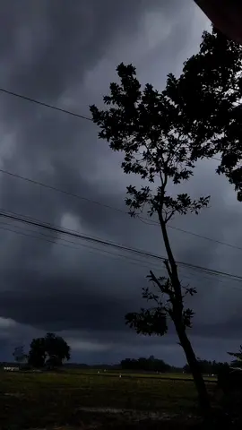 #mentahanvideo #videomentahan #mentahan #intel 