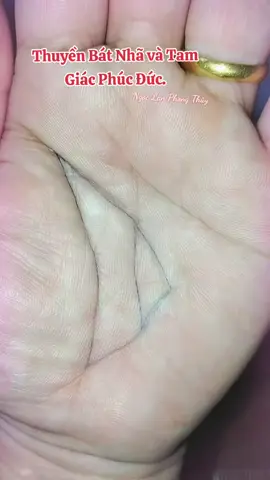 #xuhhuong #ngoclanphongthuy #follow #tài_lộc #may_mắn 