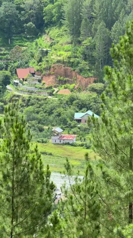 🌬️🍃.  #ceritaalam #lagujiwang #slam #kembaliterjalin 