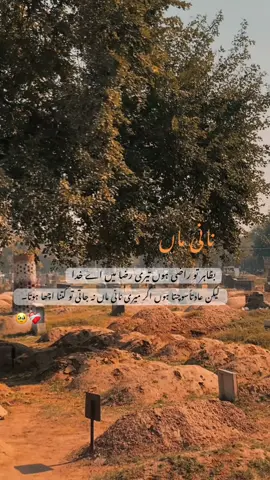 بظاہر تو راضی ہوں تیری رضا میں اے خدا لیکن عادتاًسوچتا ہوں اگر میری نانی ماں نہ جاتی تو کتنا اچھا ہوتا۔🥀🥹❤️‍🩹#nani #foryou #follower #allah #fyp 