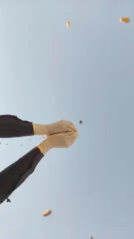 #تصويري_احترافي_الاجواء👌🏻🕊😴 #تصويري📸اكسبلوور @احــــــمـــد📸▪️🦅 