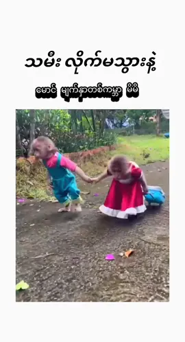 #foryou #fyp #creatorsearchinsight #mg #funny 