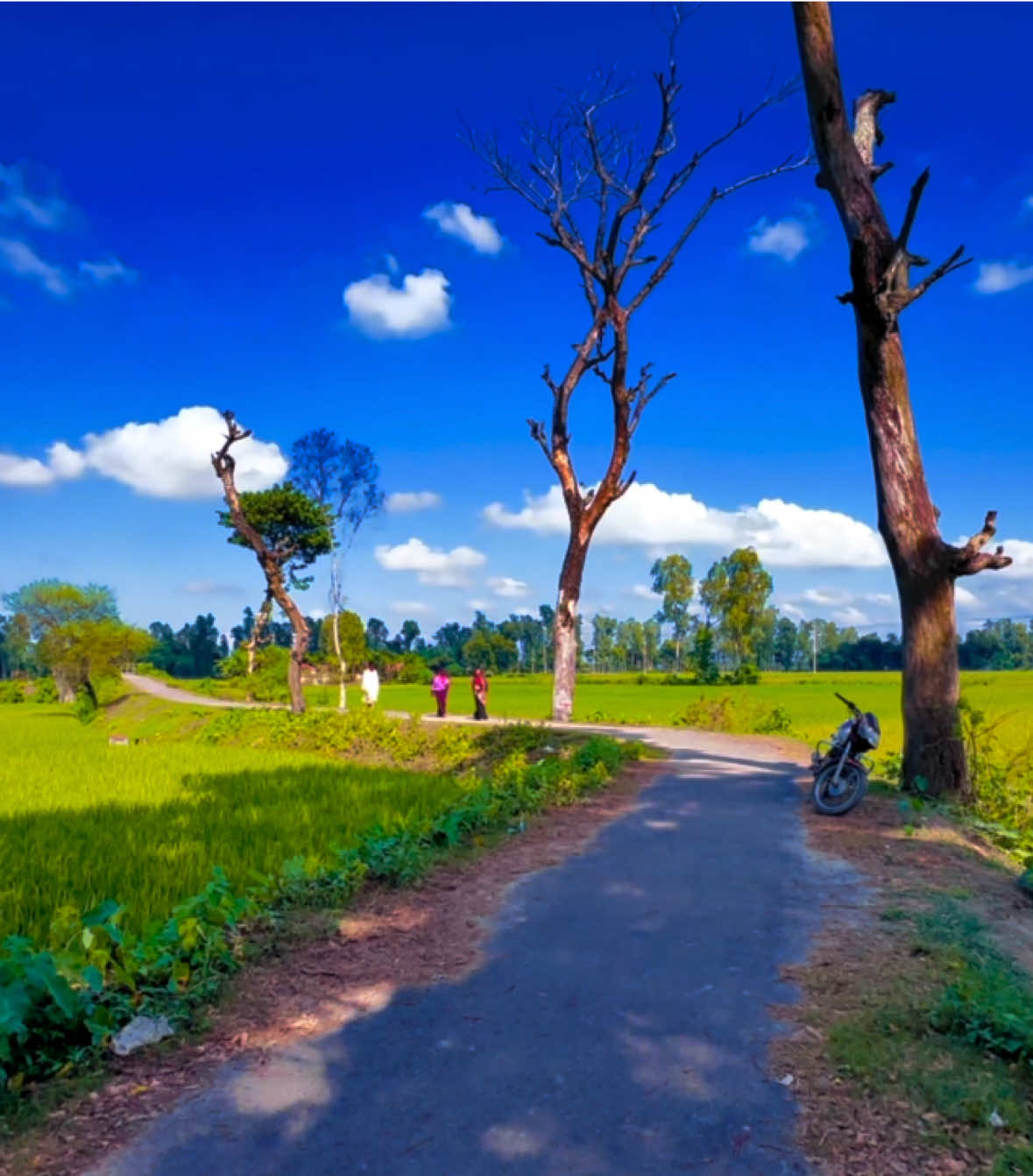 সব গল্পের শেষ হয় না, কিছু গল্প শুধু থেমে যায়..😅🥀#foryou #foryoupage #videography #vairal_video_tiktok @TikTok 