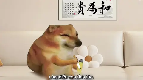 Chuẩn không ae 🤔#xuhuong #trending #fyp #cheems #haihuoc 