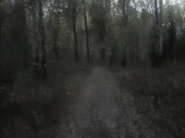 telegram channel - c0rpselakes #digitalcamera 