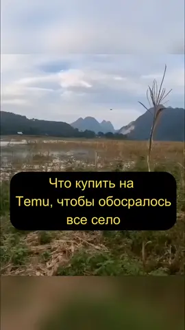 😁😁😁 #приколи #смехдослез #мемчик 