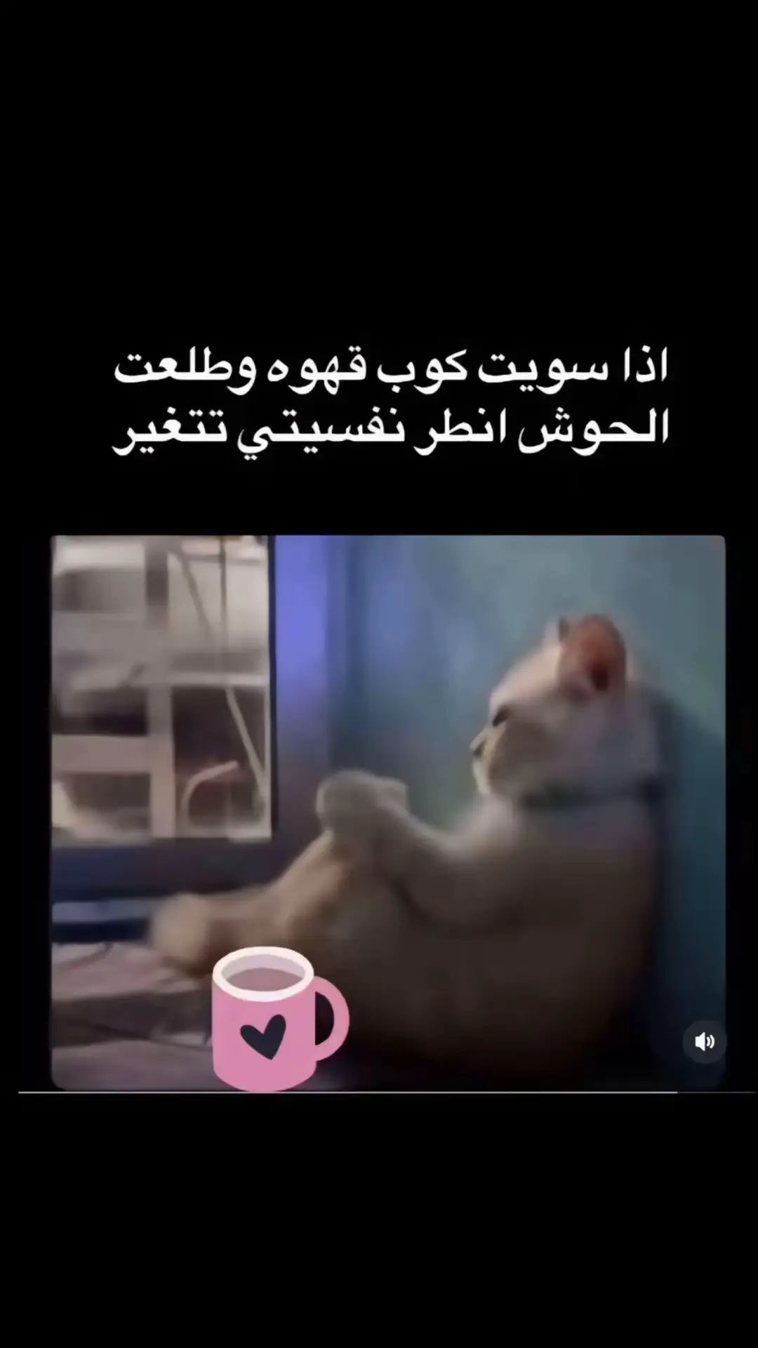 #fyppppppppppppppppppppppp #اكسبلورexplore❥🕊  