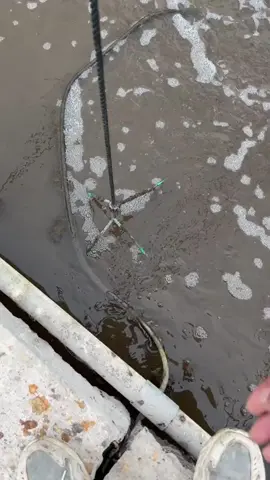 Tem gente faturando muito criando camarão no quintal de casa… e você pode ser o próximo. 🦐🔥 No nosso programa você tem: ✅ Aulas simples e práticas ✅ Acompanhamento e tira-dúvidas ✅ Sistema de criação em caixas d’água ✅ Controle da água e alimentação ✅ Técnicas para acelerar o crescimento ✅ Guia para vender e escalar Quer aprender tudo isso? 👇 Clique no link do nosso perfil e fale com a gente. 