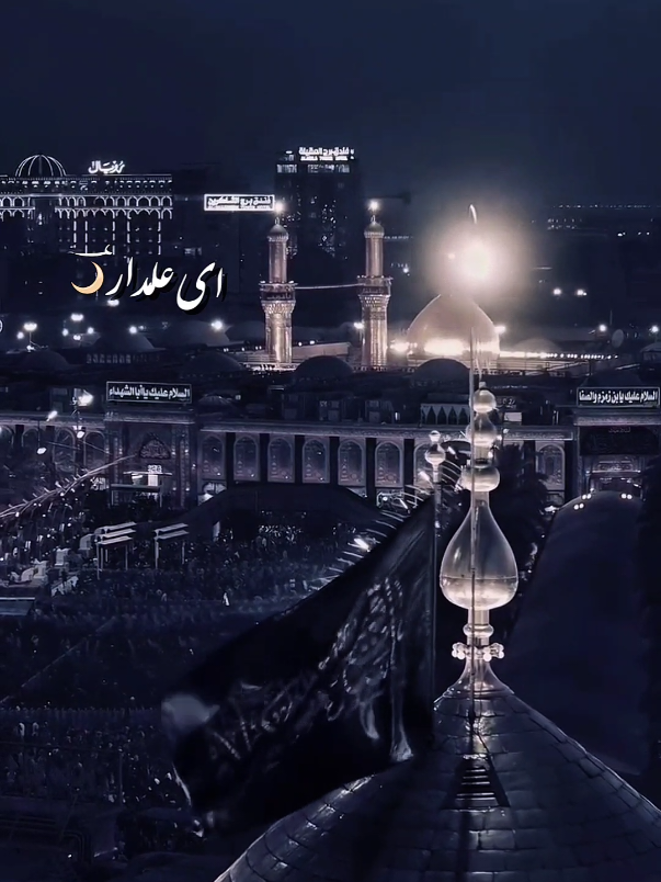 موسیٰ کے لیے ہارون بنے تو محمد ﷺ کے لیے عَلیؑ, اللہ نے حُسینؑ کے لیے عباس بنا کر وفا کی انتہا کر دی-🌙♥️ #estheticturigirl #foryoupage 