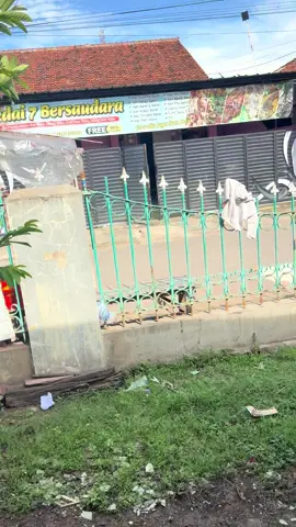 Budeg🗿#pemalang24jam #fypシ゚ #berandatiktok #pemalanghits 