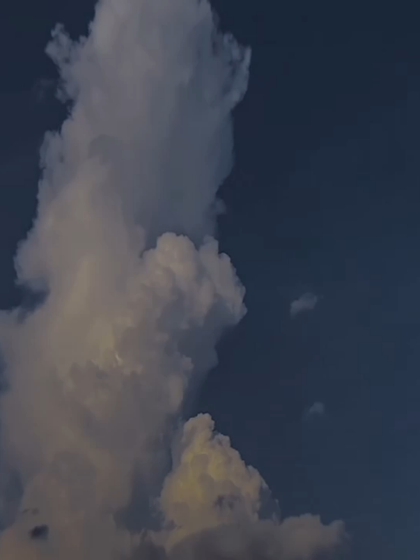 ဖြစ်တည်မူကိုတာ လက်ခံစမ်းပါအချစ်ရယ် 