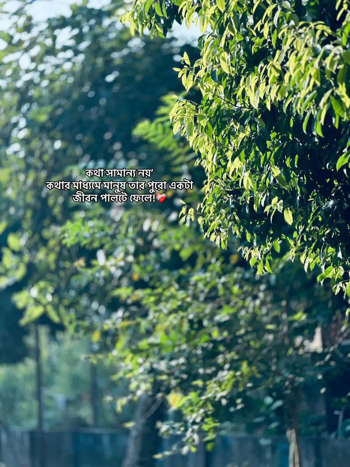 #Outfit cowok Berwarna #foryou 