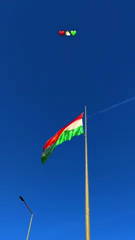 ♥️🌤️💚…#fypシ゚ #viral #tiktok #foryou #selwa🦋 