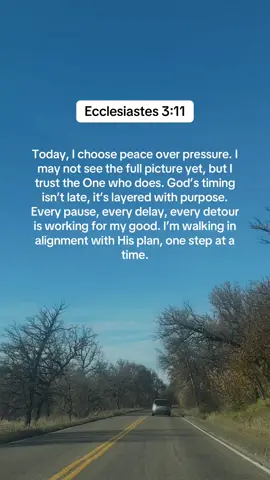 When you stop rushing the process, you start to see how perfectly God has been piecing things together all along. Take a breath, you’re not behind, you’re being built.  #ChristianEncouragement #FaithOverFear #TrustGodsTiming #DailyMotivation #creatorsearchinsights 