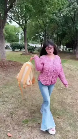 #douyin #douyin抖音 #fyp #chinesegirl #shenzhenhighschool 