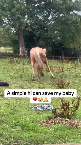 #❤❤❤️ #😭 #horselover #horse #horseloversofinstagram