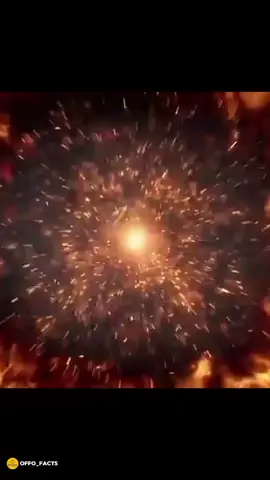 #FoodLover #foodfacts #HealthFacts #FoodLover #besthacks 