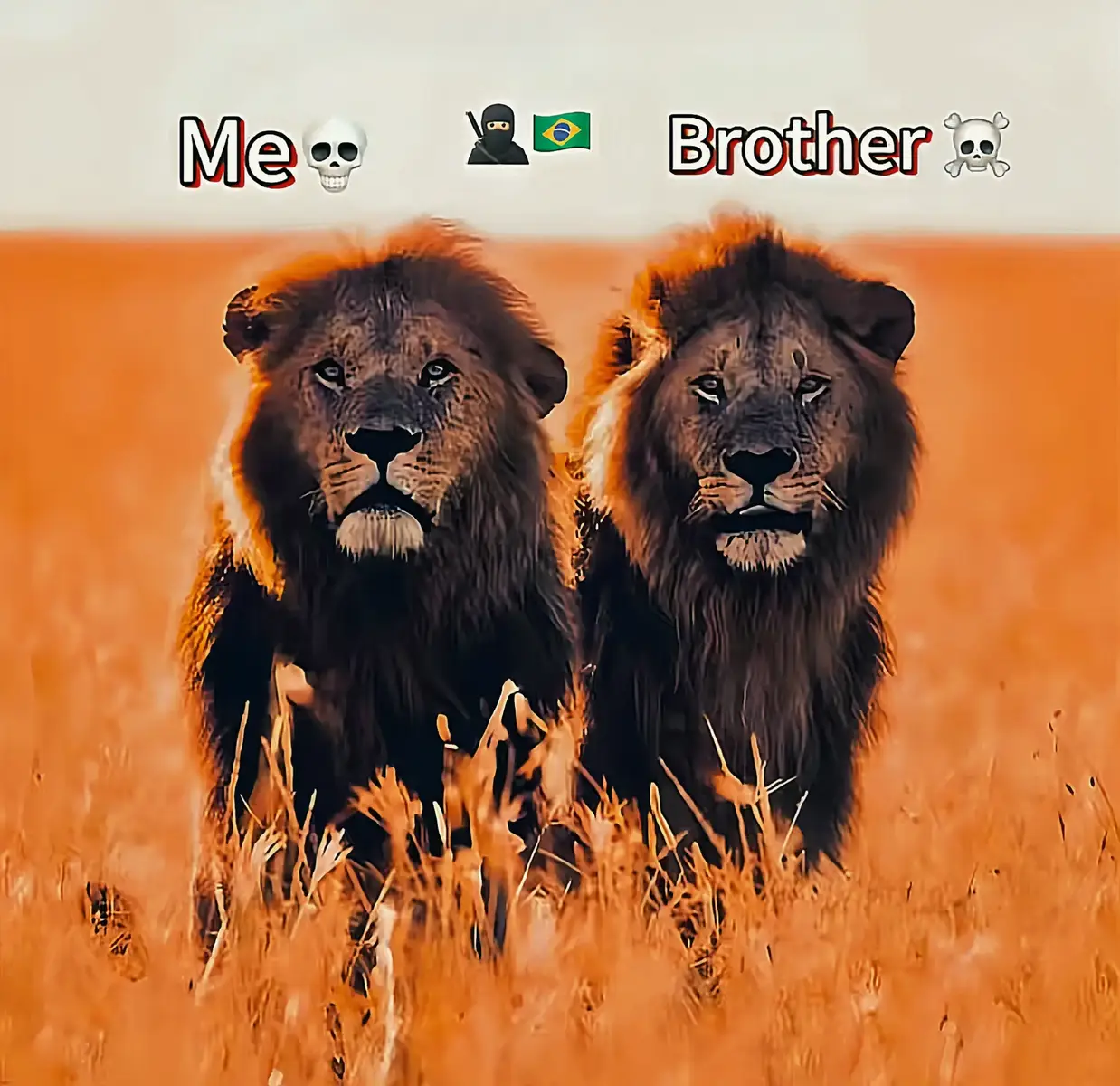 bro 👉@CR EAGLE #tiktokteam #tranding #viral #foryou #unfreezmyaccount 