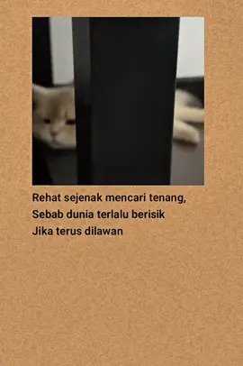 #katakatasedih #katakatabijak #fyp #viral #laguindia 