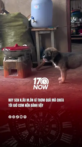 Nay sen n.ấu m.ón gì thơm quá #17network #17now 