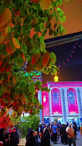 #سلام_عليك_يا_اباعبدالله_الحسين #سلام_عليك_يا_ابا_الفضل_العباس_ع #سلام_عليكي_يامولاتي_يافاطمه_الزهراء 