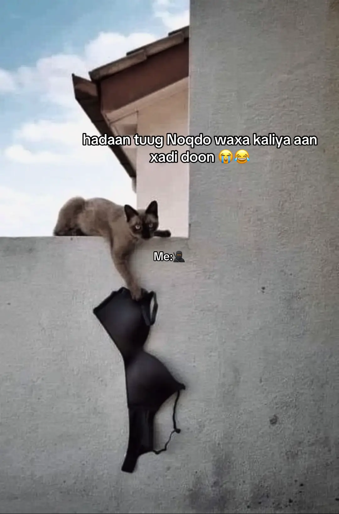 #somalitiktok #viewsproblem #odiabdull 