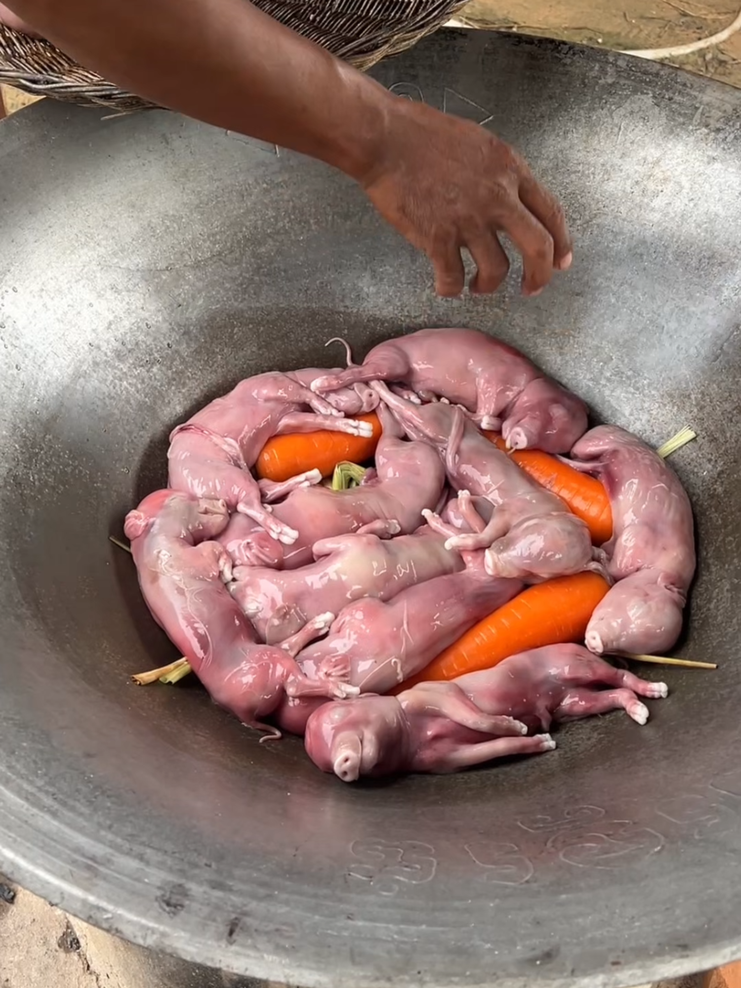 Yummy Steamed Pig ba.by with carrot recipe  #tiktokfood