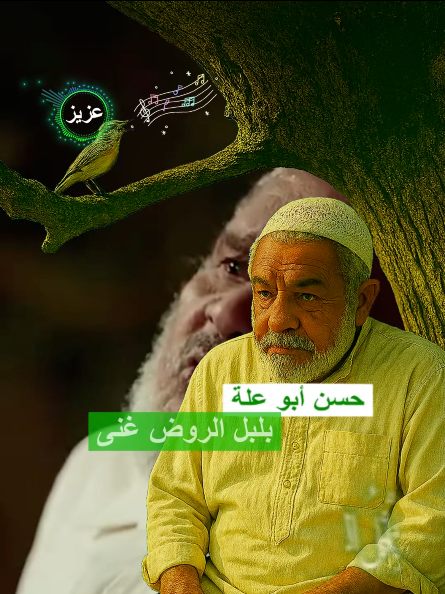 حسن أبو علة بلبل الروض غنى