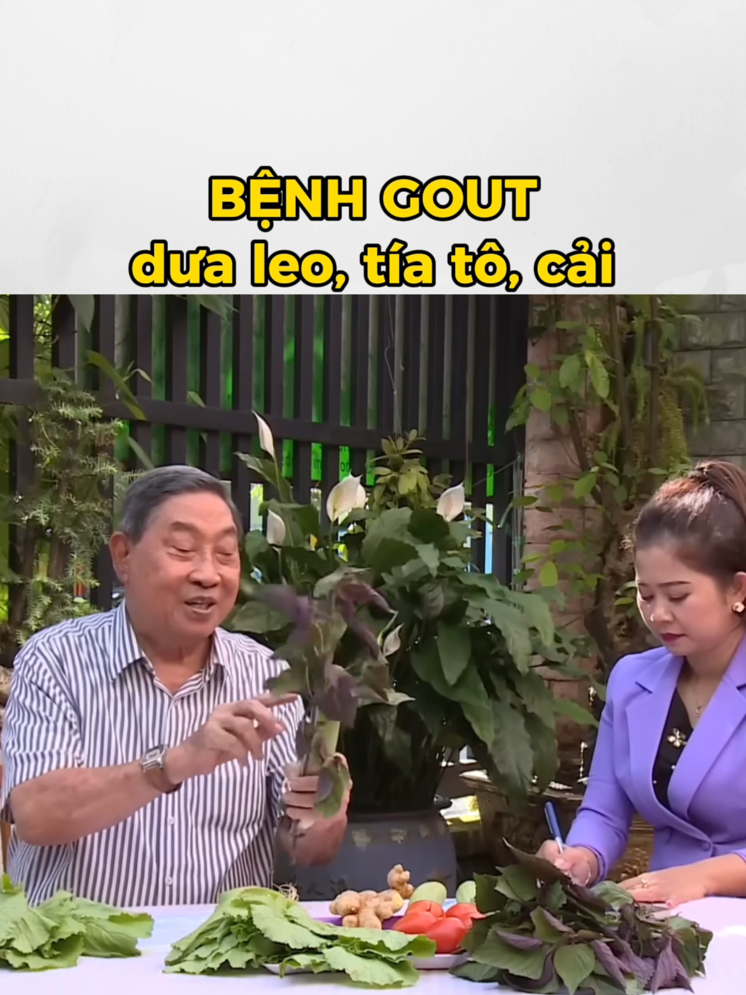 Bệnh gout #caibexanh #momaucao #gout #viemxoang #nguyencongduc #baithuochay #baithuocdangian #xuhuong #LearnOnTikTok #viral