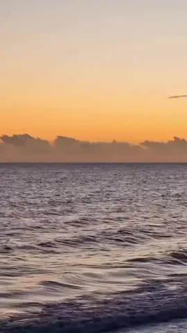 Terimakasih Pak SBY (Presiden RI ke 6) Telah Mengangkat 1,1 Juta Honorer Menjadi PNS, Semoga Tahun 2025-2026 Segera Terwujud UU ASN PPPK diangkat Semua Menjadi PNS.. Aammmiinn  #viral #fyp #pppkdialihkanmenjadipns #pppkmenjadipns2025 #alhamdulillah 