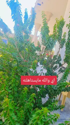 متابعه مردوده محضور من الاكسبلور😏