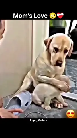 #fup #viral #unfreezemyacount #foryou #foryoupage 