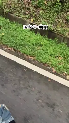 pakyuu ajiggg #ciwidey #motoran 