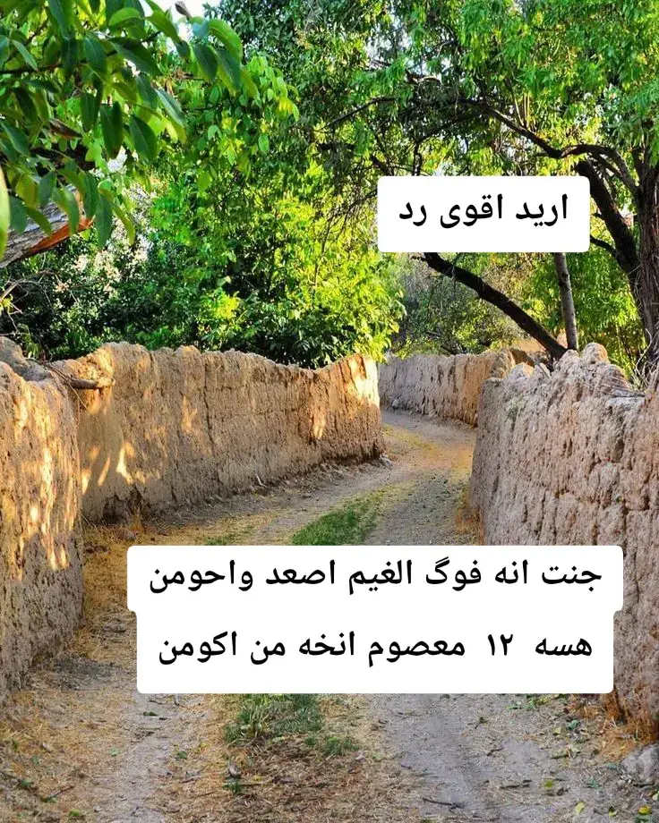 #شعراء_وذواقين_الشعر_الشعبي🎸 #شعب_الصيني_ماله_حل😂😂 #شعر_شعبي #شعراء #شعر 