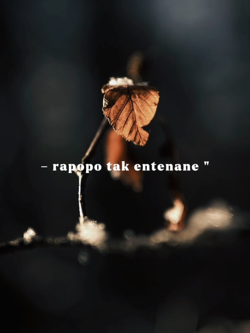 hadiah seko gusti..  #overlay #templatelirik 