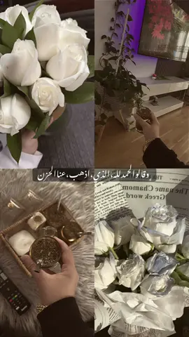 #صباح_الخير #ستوريات #تصويري #متة #اكسبلور 