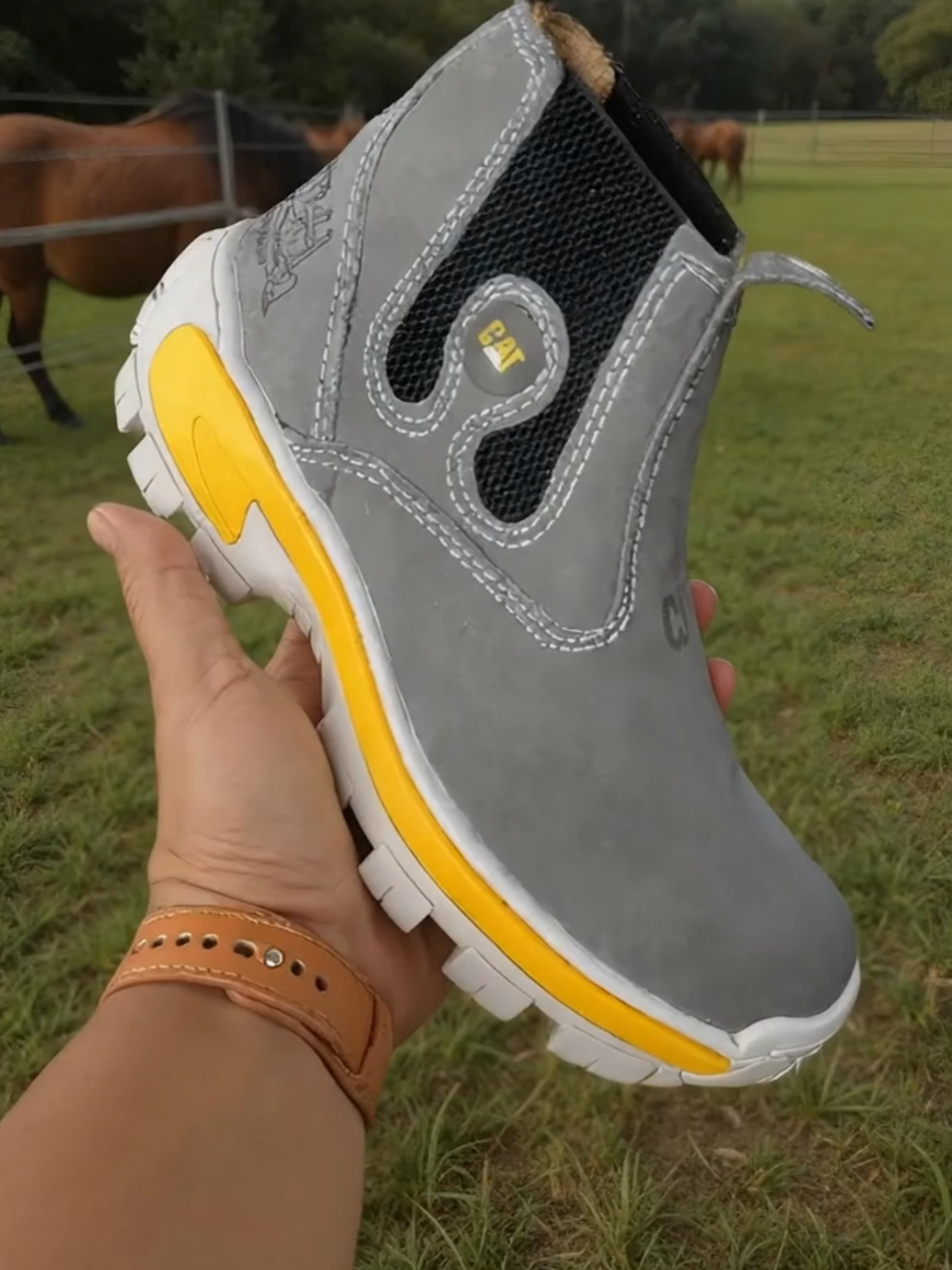 #botina #paravocê #vídeoviral #pecuaria #fazenda