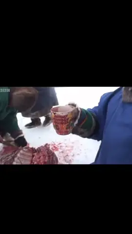 what’s to graphic? I find it lovely that they’ve kept tradition alive for so many years, enough to share it with people from all around the world. To bad there’s not many new videos of these kind of tribes, actually i mixed two tribes here.  #nenetribe #inuit #fyp #rawmeat 