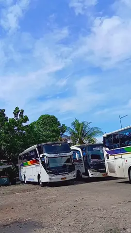 pokoknya sinar jaya🌈 #fyp #sinarjaya #sinarjayagroup #sinarjayakalideres 