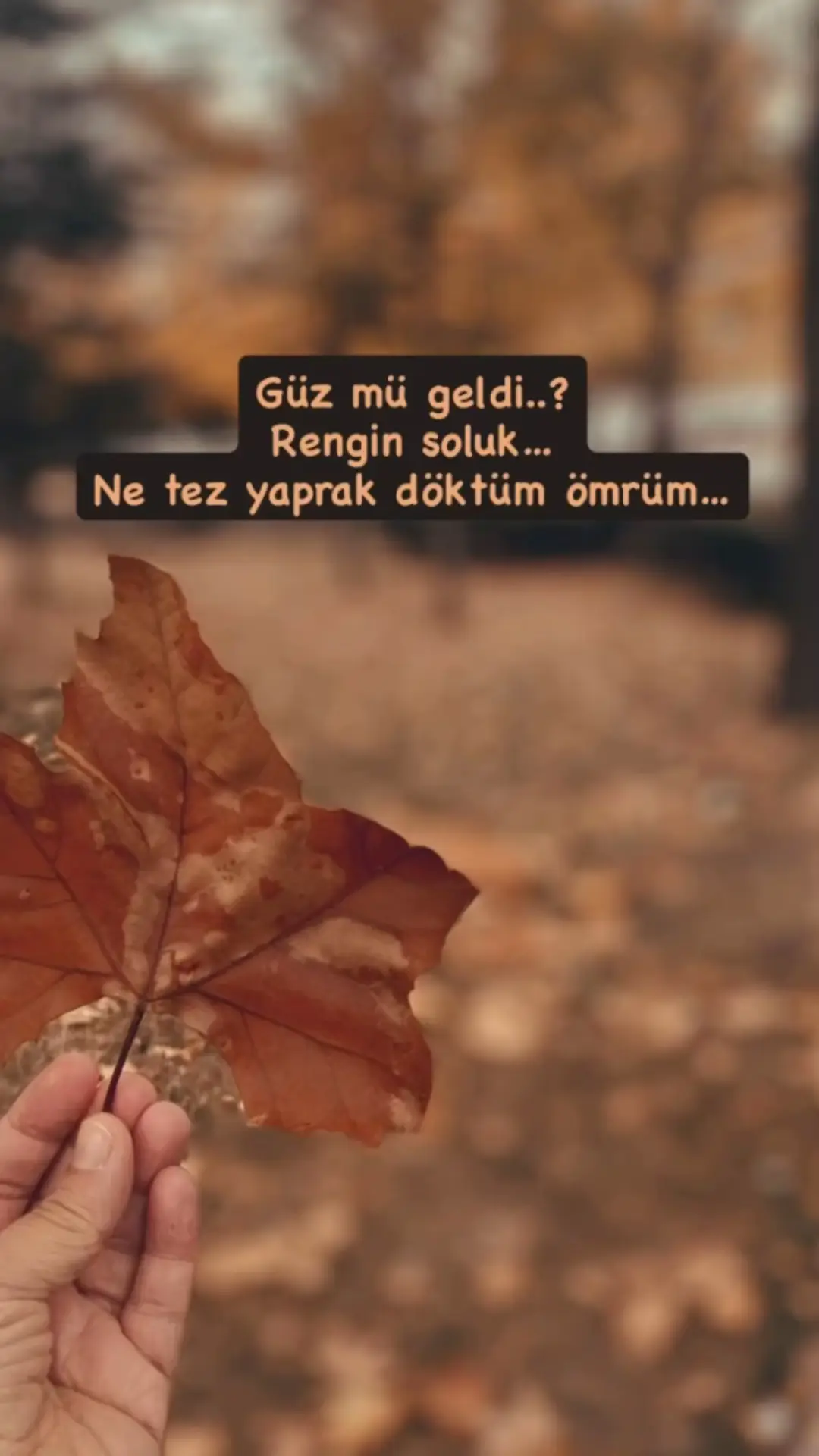 #takipetbeni🦋 #keşvetteyizzz #keşvet #tiktok #istanbul 