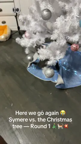 Here we go again 😭 Symere vs. the Christmas tree — Round 1 🎄🐈💥#fypシ゚viral #catsoftiktok #catschristmastree #christmas #blowthisup 